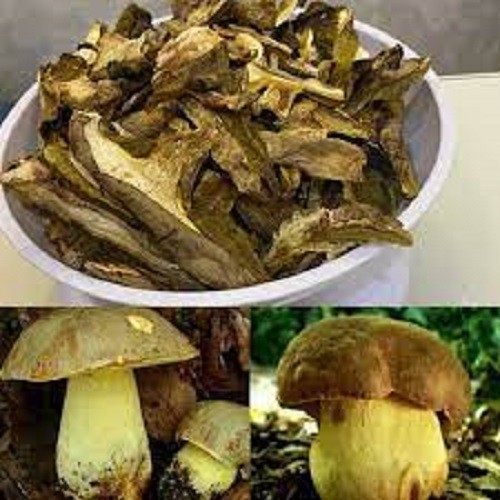 Dried porcini (Boletus) from Ukraine Carpathian mountaines.