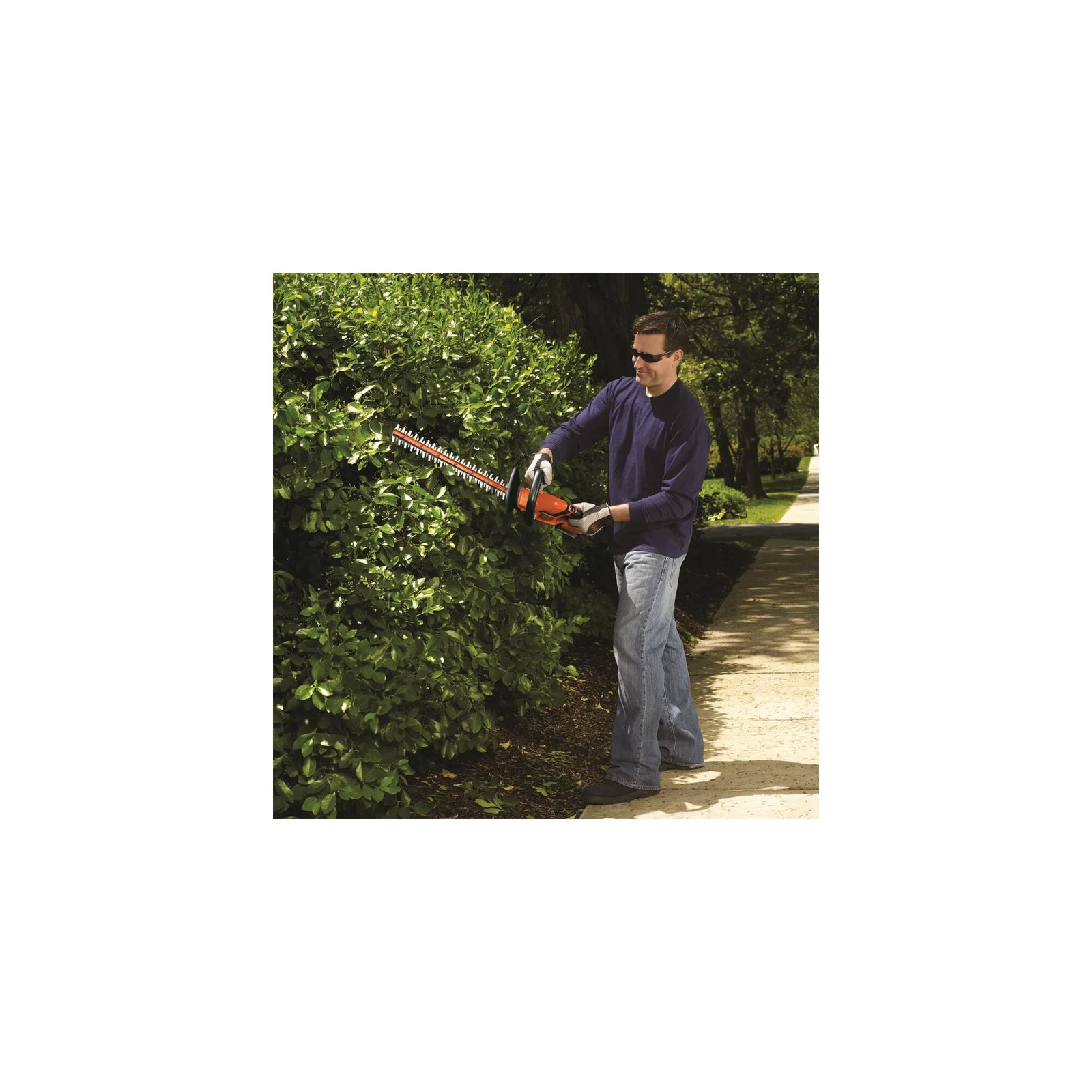 BLACK+DECKER 20V Max* Lithium 22 Inch Hedge Trimmer – LHT2220B