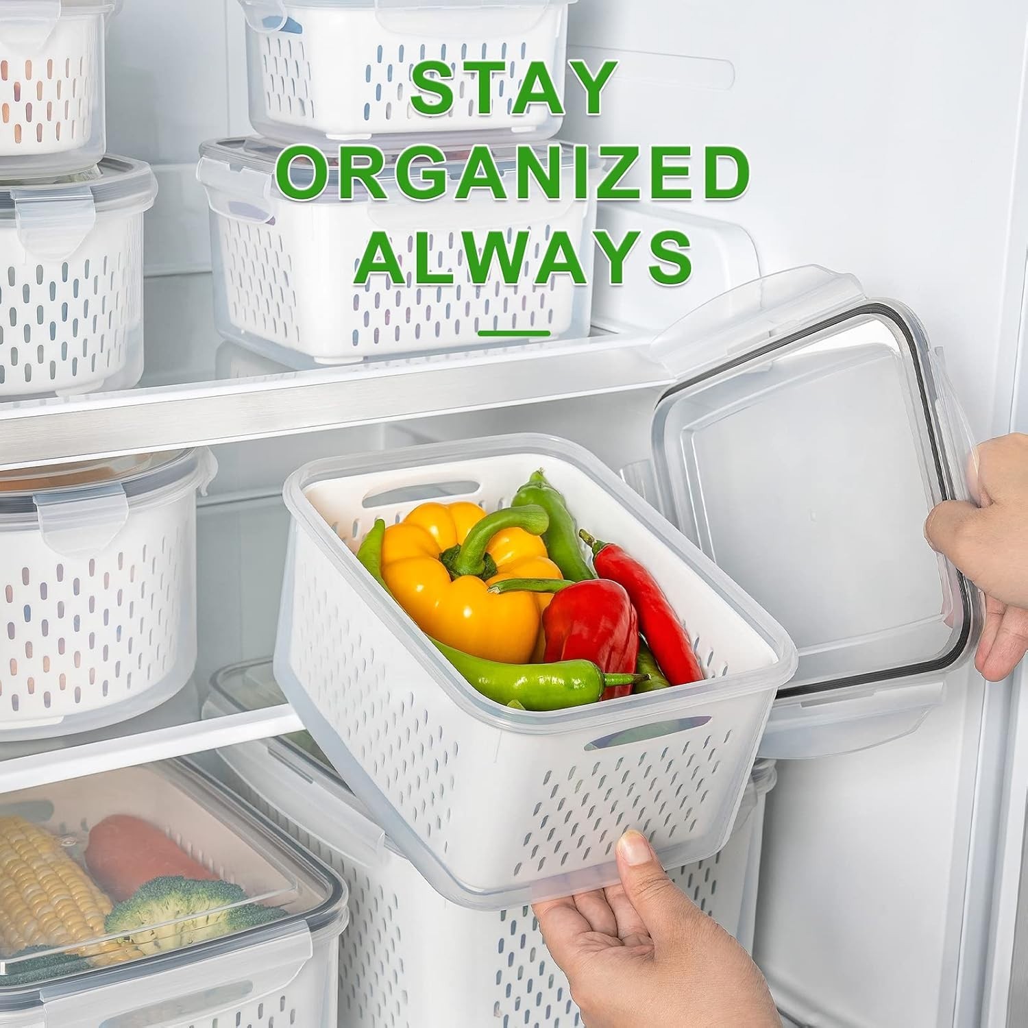 5 PCS Large Fruit Containers for Fridge