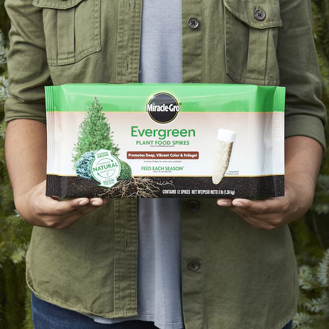 Miracle-Gro Evergreen 12-Count Continuous Release Tree Food Spikes