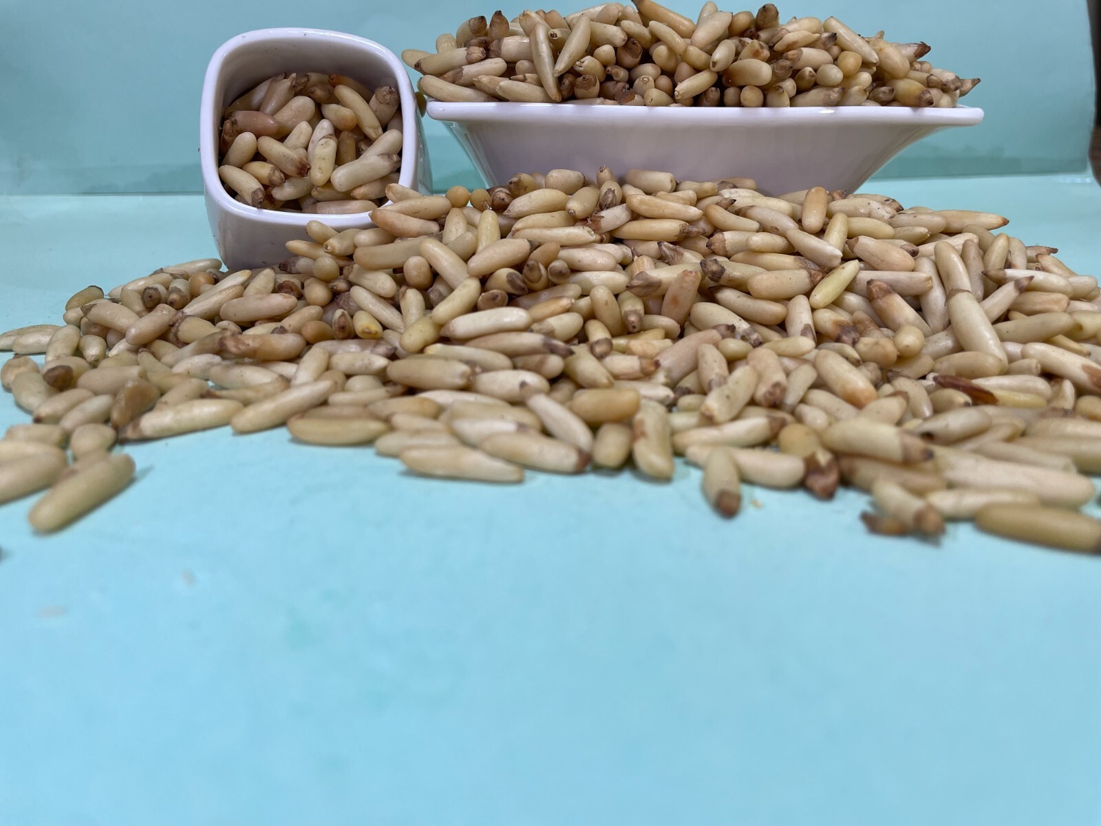pine nuts Nuts – Whole Nuts, FOODS Pine Nuts, NOW FOODS Pine, Pine Nuts 250g A+